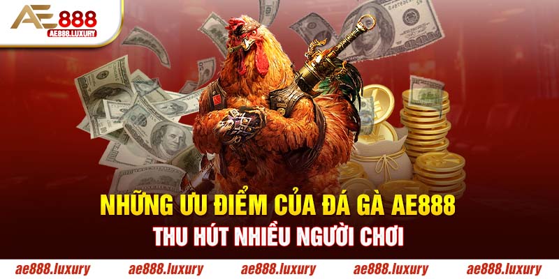 Nhiều trận cung cấp trên website để đặt cược